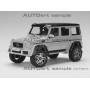 MERCEDES-BENZ G500 4X4-2 2016 ARGENT