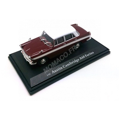 AUSTIN CAMBRIDGE ROUGE/GRIS