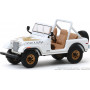 JEEP CJ-7 1979 "GOLDEN EAGLE DIXIE"
