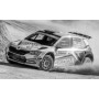 SKODA FABIA R5 EVO 24 KOPECKY/DRESLER RALLYE PORTUGAL 2019
