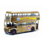 AEC ROUTEMASTER "GOLDEN 50TH"