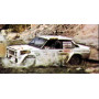 FIAT 131 ABARTH 7 REUTEMANN/PERISSUTTI RALLYE ARGENTINE CODASUR 1980 3EME (EPUISE)