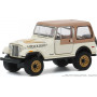 JEEP CJ-7 1979 "GOLDEN EAGLE DIXIE"