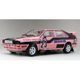 AUDI QUATTRO A1 23 CATHY CALY CHAMPIONNAT DE RALLYE CROSS DE FRANCE 1987