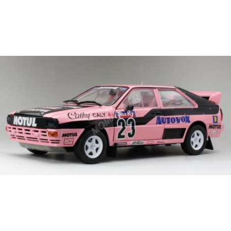 AUDI QUATTRO A1 23 CATHY CALY CHAMPIONNAT DE RALLYE CROSS DE FRANCE 1987