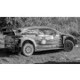 HYUNDAI I20 COUPE WRC 42 BREEN/NAGLE RALLYE ESTONIE 2020