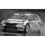 SKODA FABIA R5 EVO 34 MIKKELSEN/SYNNEVAAG RALLYE MONZA 2020