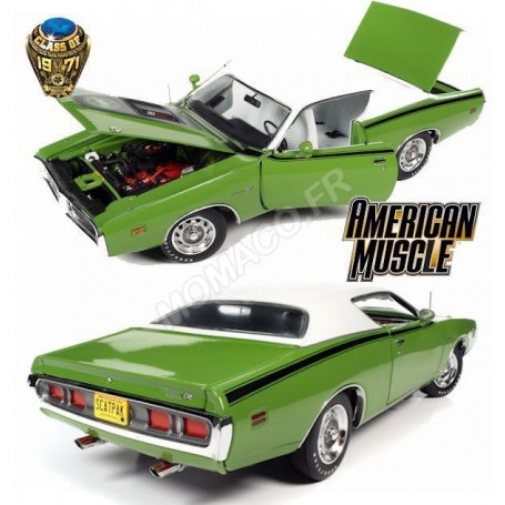 DODGE CHARGER SUPER BEE 1971 VERT