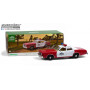 DODGE MONACO 1977 "FINCHBURG COUNTY SHERIFF" (EPUISE)