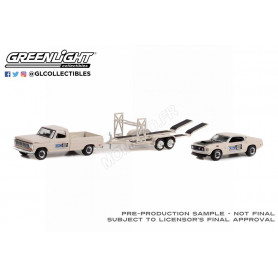 SET DE VEHICULES : FORD F-100 1969 AVEC FORD MUSTANG BOSS 429 1969 ET REMORQUE 133