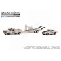 SET DE VEHICULES : FORD F-100 1969 AVEC FORD MUSTANG BOSS 429 1969 ET REMORQUE 133