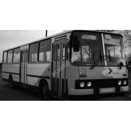 IKARUS 260 POSTDAM GRIS