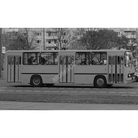 IKARUS 260 LEIPZIGER VERKEHRSBETRIEBE JAUNE
