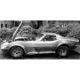 CHEVROLET CORVETTE (C3) 1972 VERT METALLISE