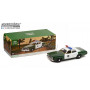 PLYMOUTH FURY 1975 "CAPITOL CITY POLICE" (EPUISE)