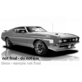 FORD MUSTANG PRO STOCK DRAG CAR 1971 JAUNE