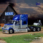 INTERNATIONAL LONESTAR 2010 BLEU METALLISE